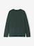 Lot de 2 pyjamas garçon vert sapin 8 - vertbaudet enfant 