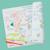 Set en silicone à colorier réversible - planisphère Multi-coloured 5 - vertbaudet enfant 
