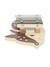 Xylophone bois FSC® en forme de chevruil Chevreuil 6 - vertbaudet enfant 