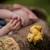 Chenille en caoutchouc naturel Jaune 3 - vertbaudet enfant 