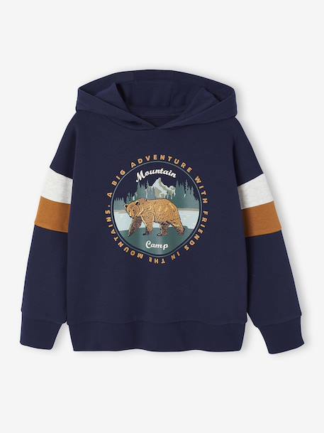 Sweat garçon à capuche motif placé lichen+marine+noix de pécan 4 - vertbaudet enfant 