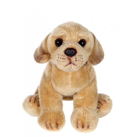 Peluche - peluche floppipup labrador - 22 cm Marron 3 - vertbaudet enfant 