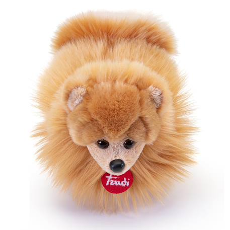 Peluche chien poméranien 22 cm Marron 3 - vertbaudet enfant 