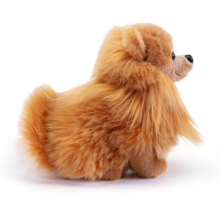Peluche chien poméranien 22 cm Marron 2 - vertbaudet enfant 