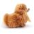 Peluche chien poméranien 22 cm Marron 2 - vertbaudet enfant 