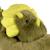 Peluche lestée 40 cm Gris+Vert 10 - vertbaudet enfant 