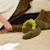 Peluche lestée 40 cm Gris+Vert 11 - vertbaudet enfant 