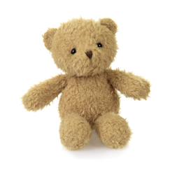 Jouet-Petit ours en peluche morris