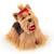 Peluche chien yorkshire 21 cm Marron 1 - vertbaudet enfant 
