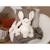 Peluche - trendy bunny - 28 cm Beige 4 - vertbaudet enfant 