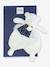 CLAIR DE LUNE - Ours Doudou 26 cm - blanc 2 - vertbaudet enfant 