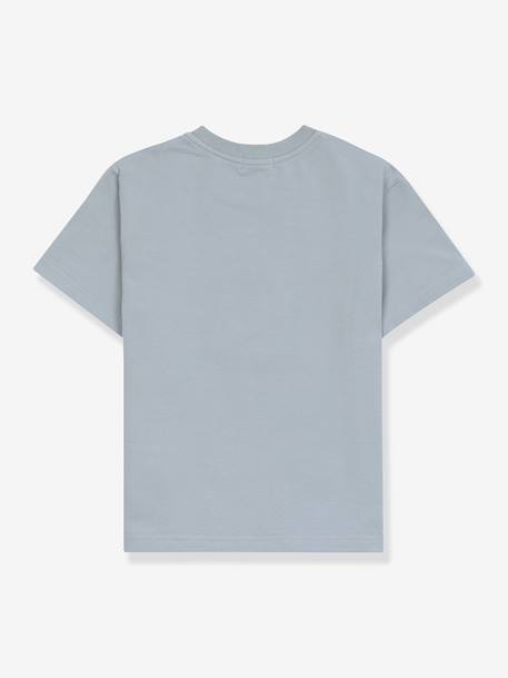 T-shirt citron bleu enfant Little Gang LÄSSIG bleu ciel 3 - vertbaudet enfant 