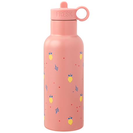Fille-Accessoires-Fourniture scolaire-Gourde-Gourde isotherme nordic summer fruit (500 ml)