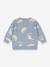 Pull motifs dinosaures KONGES SLOJD gris 2 - vertbaudet enfant 