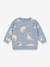 Pull motifs dinosaures KONGES SLOJD gris 1 - vertbaudet enfant 