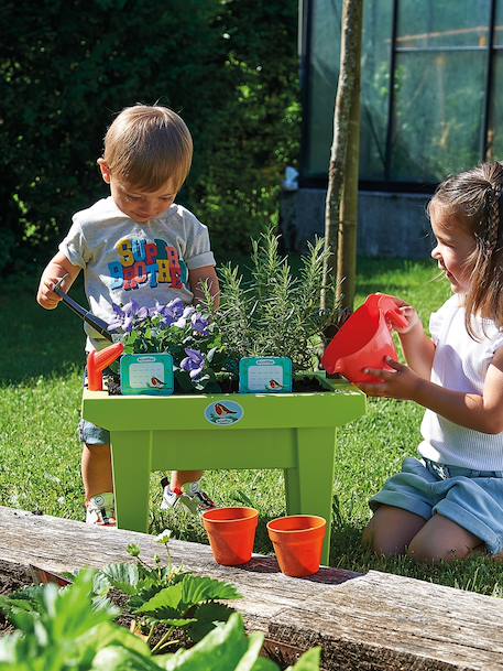 La jardinière garnie multicolore 3 - vertbaudet enfant 