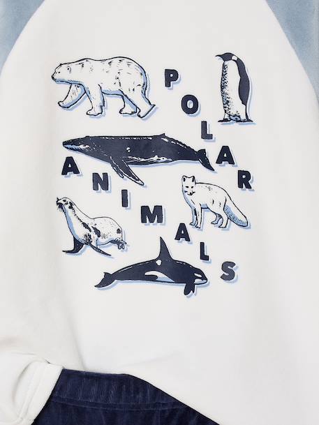 Lot 2 pyjamas garçon velours animaux polaires bleu ciel 7 - vertbaudet enfant 