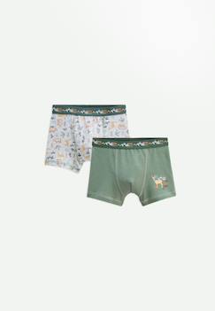 Lot de 2 boxers garçon forest  - vertbaudet enfant