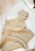 Doudou en tricot hello baby Sable 1 - vertbaudet enfant 