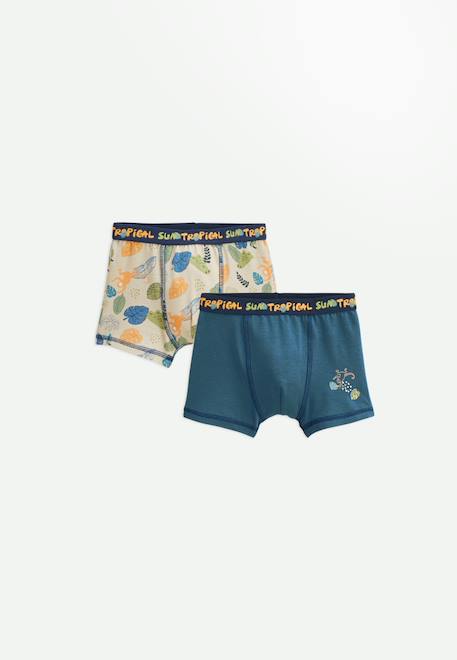 Lot de 2 boxers garçon monkey Bleu 1 - vertbaudet enfant 