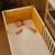 Tour de lit en coton bio Blanc+Fraise+Honey+Rose+Vert 14 - vertbaudet enfant 