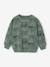 Sweat imprimé garçon beige chiné+bleu moyen+vert sauge 7 - vertbaudet enfant 