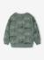 Sweat imprimé garçon beige chiné+bleu moyen+vert sauge 8 - vertbaudet enfant 