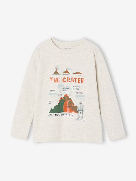 T-shirt manches longues imprimé garçon avec reliefs blanc chiné+noix de pécan 3 - vertbaudet enfant 