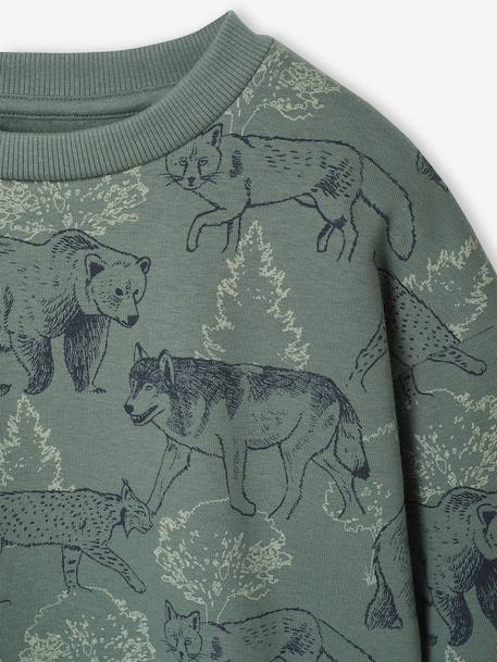 Sweat imprimé garçon beige chiné+bleu moyen+vert sauge 9 - vertbaudet enfant 