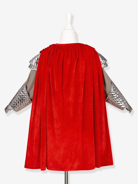 Armure roi Arthur argent 3 - vertbaudet enfant 