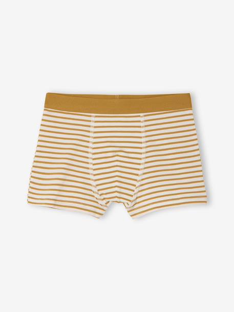 Lot 5 Boxers unis et rayés Garçon multicolore 5 - vertbaudet enfant 