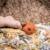 Coccinelle en caoutchouc naturel Rouge 3 - vertbaudet enfant 