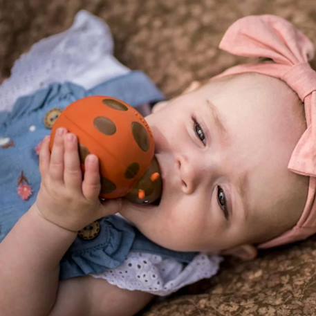 Coccinelle en caoutchouc naturel Rouge 2 - vertbaudet enfant 