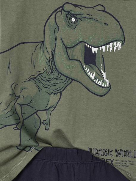 Pyjama bicolore Jurassic World garçon lichen/noir 4 - vertbaudet enfant 