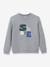 Sweat Skate garçon gris 1 - vertbaudet enfant 