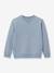 Sweat garçon bleu ciel 1 - vertbaudet enfant 