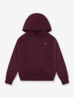 -Sweat à capuche Batwing Patch Hoodie LEVI'S