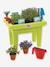 La jardinière garnie multicolore 1 - vertbaudet enfant 