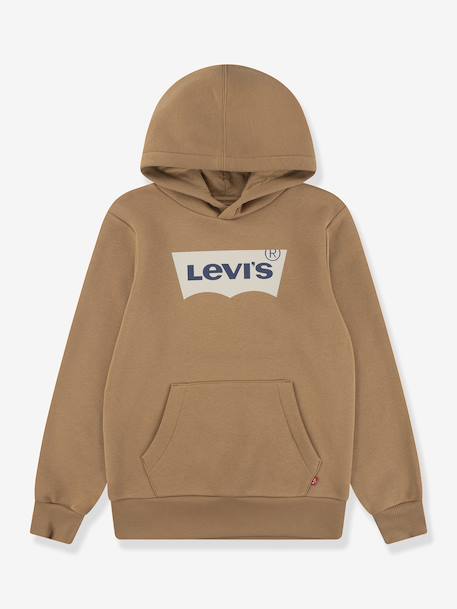 Sweat à capuche marron 1 - vertbaudet enfant 