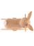 Bascule pour bébé - lapin á bascule Lapin fine 6 - vertbaudet enfant 