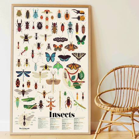 Poster géant 44 stickers insectes Multi-coloured 1 - vertbaudet enfant 