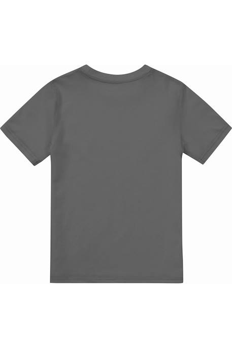 T-shirt coton batman hero of the night Charbon 2 - vertbaudet enfant 