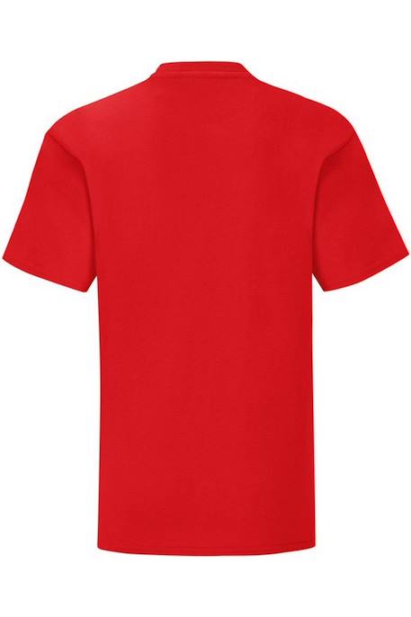 T-shirt enfant manches courtes coton iconic 150 Noir+Orange+Rouge+Tournesol+Vert de gris+Vert forêt+Vert kelly+Vert pâle 8 - vertbaudet enfant 