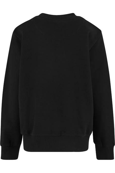 Sweat coton Bleu roi+Noir+Sable blanc 6 - vertbaudet enfant 