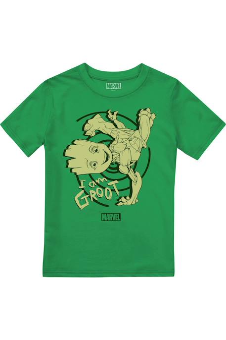 T-shirt coton Vert vif 1 - vertbaudet enfant 