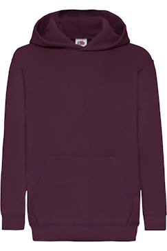 -Sweat à capuche classic coton 260