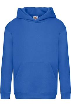 -Sweat à capuche coton premium