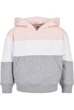 -Sweat à capuche coton