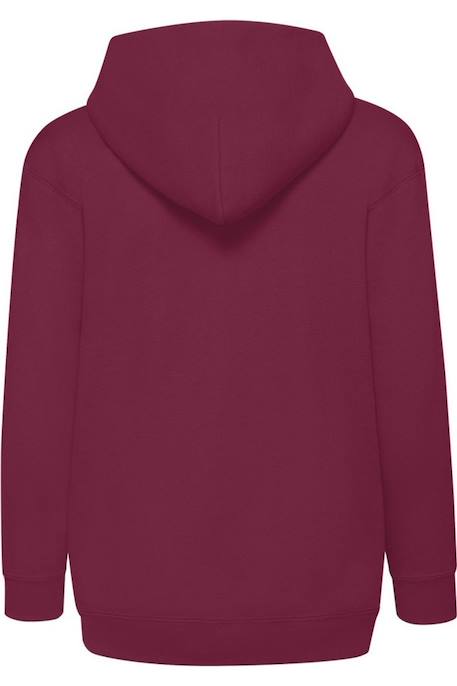 Sweat zippé à capuche enfant coton classic Azur+Bleu marine sombre+Bleu roi+Bordeaux+Gris chiné+Noir+Rouge+Vert bouteille 11 - vertbaudet enfant 