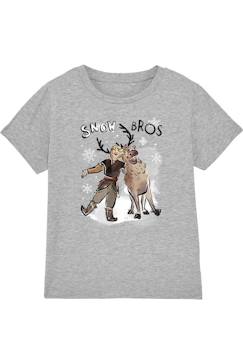 Garçon-T-shirt, polo, sous-pull-T-shirt coton la reine des neiges snow bros